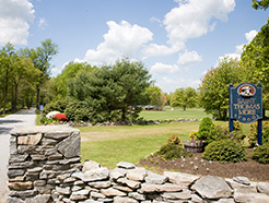st-thomas-more-school.jpg