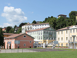 tasis-1.jpg