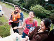 New-Zealand-Language-Centre