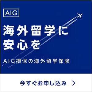 AIG保険